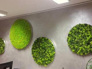Improve Indoor Environments with Reindeer Moss Or Artificial, Sunwing Industries Ltd Sunwing Industries Ltd Commercial spaces Grün