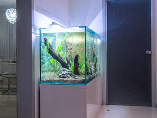 Аквариум с растениями 600л, Aquacube Aquacube Living room Glass