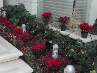 Jardiería para terraza y fachada, Jardineria bonaterra Jardineria bonaterra Vườn phong cách hiện đại