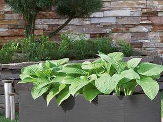 Pflanzwerk: Gartenzubehr in Neukirchen-Vluyn | homify