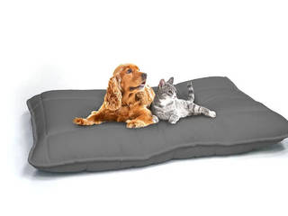 Animali domestici, GiordanoShop GiordanoShop Weitere Zimmer Textil Bernstein/Gold