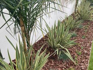 CatarinaGDesigns Jardin moderne