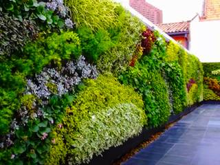 TUKANG TAMAN VERTIKAL JAKARTA, Tukang Taman Jakarta Tukang Taman Jakarta Jardines modernos: Ideas, imágenes y decoración Hierro/Acero