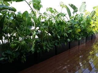 Exteriores, Jardineria bonaterra Jardineria bonaterra Vườn phong cách hiện đại