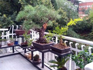 Terrazza con bonsai, Stefania Lorenzini garden designer Stefania Lorenzini garden designer Balcones y terrazas de estilo moderno Hierro/Acero