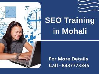 SEO Training in Mohali, Tally Training in Mohali Tally Training in Mohali Estudios y despachos asiáticos