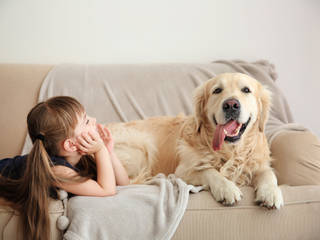 Tips for Picking Out Pet-Friendly Furniture, press profile homify press profile homify SoggiornoTavolini