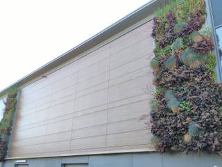 Mur Végétal Extérieur / Façade Végétalisée (Hypermarché), Vertical Flore Vertical Flore Pareti & Pavimenti in stile classico