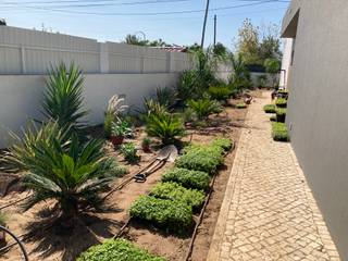 Construção de jardim em Azeitão, CatarinaGDesigns CatarinaGDesigns 모던스타일 정원