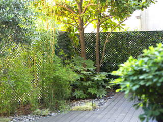 Un jardin sauvage en plein Paris, Céline Bertin - Créatrice d'Ambiances Extérieures Céline Bertin - Créatrice d'Ambiances Extérieures Asian style balcony, porch & terrace