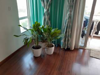 Interioforest Plantscaping Solutions Klassische Schlafzimmer