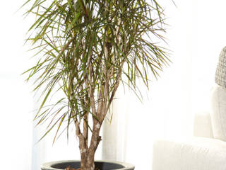 MODERN ROUND POTS , GARDEN ITALIA VASI SRL GARDEN ITALIA VASI SRL Modern living room