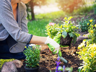 7 Ideen, um dir die Gartenarbeit zu erleichtern, press profile homify press profile homify Casetta da giardino