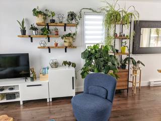 Auf diese Weise können Sie Ihr Wohnzimmer mit großen Zimmerpflanzen dekorieren, press profile homify press profile homify SalonAkcesoria i dekoracje