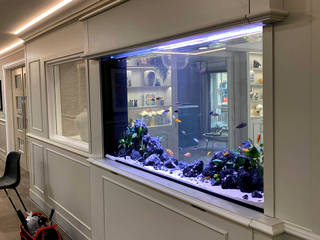 550Litre Bespoke Freshwater Aquarium Installation, Liquid Habitat Liquid Habitat Espacios comerciales