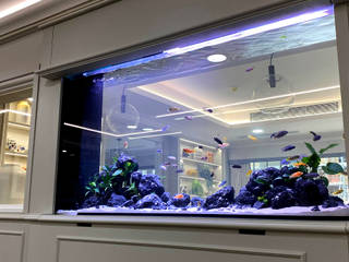 550Litre Bespoke Freshwater Aquarium Installation, Liquid Habitat Liquid Habitat Commercial spaces