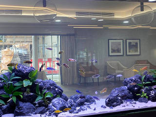 550Litre Bespoke Freshwater Aquarium Installation, Liquid Habitat Liquid Habitat Commercial spaces