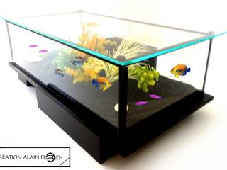 Table Basse Vitrine / Aquarium DRAGON VOLANT 95 CM en Bois Massif Noir avec Plateau en Verre Diamant Extra Clair avec Eclairage LED + Télécommande, VPA DESIGN VPA DESIGN Asian style living room Solid Wood Multicolored