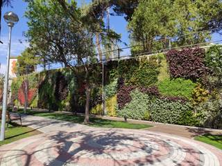 Jardín vertical en el parque Bravo Murillo,42, Madrid, SingularGreen SingularGreen Espaços comerciais