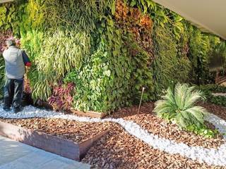 Jardín vertical en el hotel Don Pancho en Benidorm, Alicante, SingularGreen SingularGreen Ruang Komersial