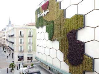 Jardín vertical Corte Inglés en Valladolid, SingularGreen SingularGreen Jardines frontales