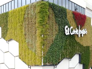 Jardín vertical Corte Inglés en Valladolid, SingularGreen SingularGreen Jardines frontales