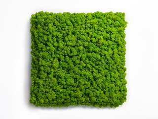 Wandbegrünung im Innenbereich mit Islandmoos "Projekt Green Wall" | naturewalls®, naturewalls® naturewalls® Commercial spaces