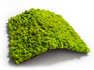 Serie Flex - Einfache Mooswände aus Islandmoos mit den selbstklebenden Platten |naturewalls®, naturewalls® naturewalls® Commercial spaces