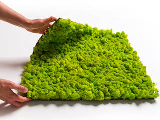 Serie Flex - Einfache Mooswände aus Islandmoos mit den selbstklebenden Platten |naturewalls®, naturewalls® naturewalls® Commercial spaces