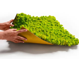 Serie Flex - Einfache Mooswände aus Islandmoos mit den selbstklebenden Platten |naturewalls®, naturewalls® naturewalls® Commercial spaces