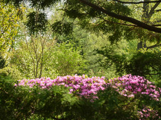 Японский сад в Петербурге, Interioto Interioto حديقة Zen