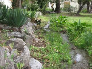 Paisajista Betty Rodriguez Villa María y Pcia de Córdoba, Paisajista Betty Rodriguez Paisajista Betty Rodriguez Jardines con piedras Piedra