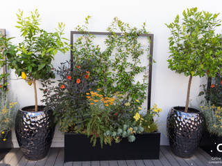 Pause en Méditerranée- Paris XV, Céline Bertin - Créatrice d'Ambiances Extérieures Céline Bertin - Créatrice d'Ambiances Extérieures Mediterranean style balcony, porch & terrace