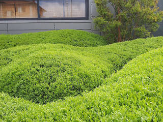 Museo di auto in Val di Chiana, Fabiano Crociani - Landscape&Gardendesign Fabiano Crociani - Landscape&Gardendesign Modern Garden