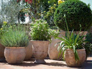 Terrazza in centro a Roma, Fabiano Crociani - Landscape&Gardendesign Fabiano Crociani - Landscape&Gardendesign Minimalistyczny ogród