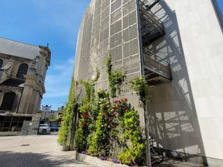 Façade végétalisée / Grimpantes , Vertical Flore Vertical Flore مساحات تجارية