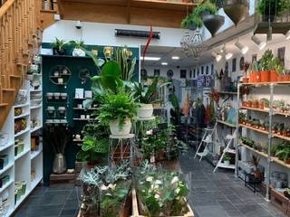 Top 3 Indoor Artificial Plants Ideas For Commercial Projects, Sunwing Industrial Co., Ltd. Sunwing Industrial Co., Ltd. Small houses Plastic
