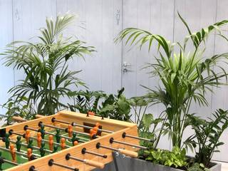 Paisagismo de Interiores em Escritório, Urban Jungle - Plantas e Projectos Urban Jungle - Plantas e Projectos Commercial spaces