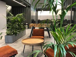 Paisagismo de Interiores em Escritório, Urban Jungle - Plantas e Projectos Urban Jungle - Plantas e Projectos Commercial spaces