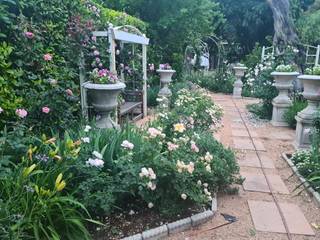 CLASSIC ROSE GARDEN, Young Landscape Design Studio Young Landscape Design Studio Jardines de estilo colonial