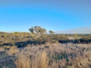 Herdade com 91,50 hectares para venda em Santiago do Cacém., M.MNascimento II, Lda. M.MNascimento II, Lda. Baños de estilo rústico