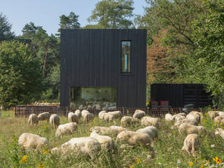 Four Seasons House, Joris Verhoeven Architectuur Joris Verhoeven Architectuur Scandinavian style garden Wood Wood effect