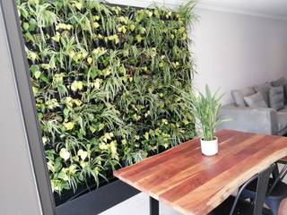 Modiwall Vertical Gardens