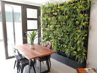 Modiwall Vertical Gardens