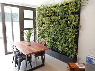 Modiwall Vertical Gardens