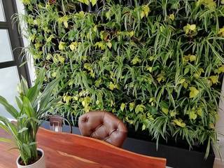 Living Room Vertical Garden, Modiwall Vertical Gardens Modiwall Vertical Gardens สวนภายใน