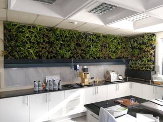 Air filtering Green Wall in a Laboratory , Modiwall Vertical Gardens Modiwall Vertical Gardens ห้องทำงาน/อ่านหนังสือ