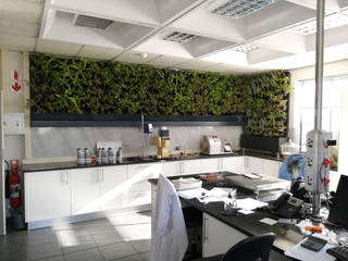 Air filtering Green Wall in a Laboratory , Modiwall Vertical Gardens Modiwall Vertical Gardens ห้องทำงาน/อ่านหนังสือ