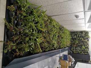 Air filtering Green Wall in a Laboratory , Modiwall Vertical Gardens Modiwall Vertical Gardens ห้องทำงาน/อ่านหนังสือ