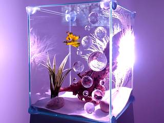 Aquarium en verre avec couvercle, VPA DESIGN VPA DESIGN Các phòng khác Ly